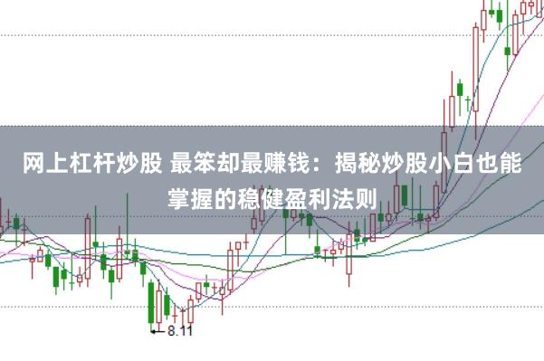 网上杠杆炒股 最笨却最赚钱：揭秘炒股小白也能掌握的稳健盈利法则