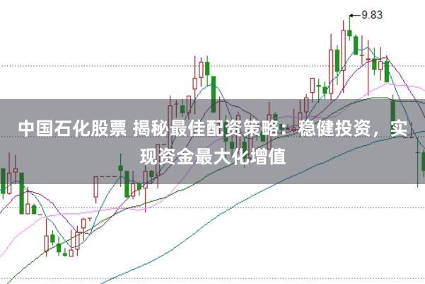中国石化股票 揭秘最佳配资策略：稳健投资，实现资金最大化增值