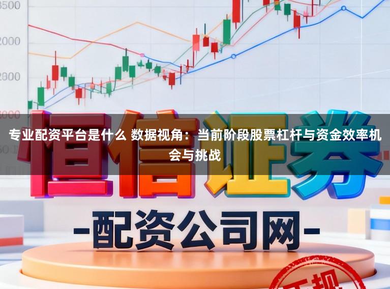 专业配资平台是什么 数据视角：当前阶段股票杠杆与资金效率机会与挑战
