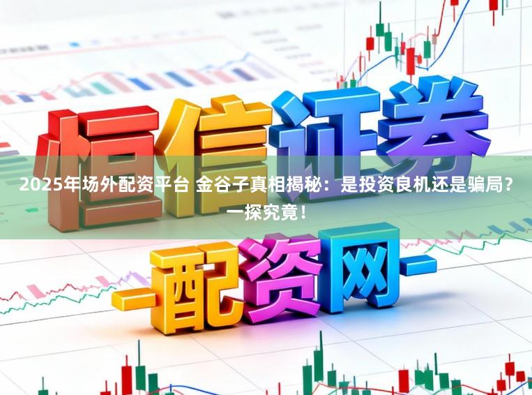 2025年场外配资平台 金谷子真相揭秘：是投资良机还是骗局？一探究竟！